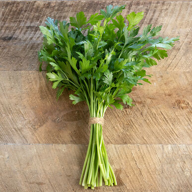 Herb - Flat-leaf Parsley