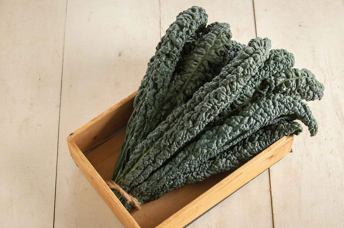 Kale – Tuscan