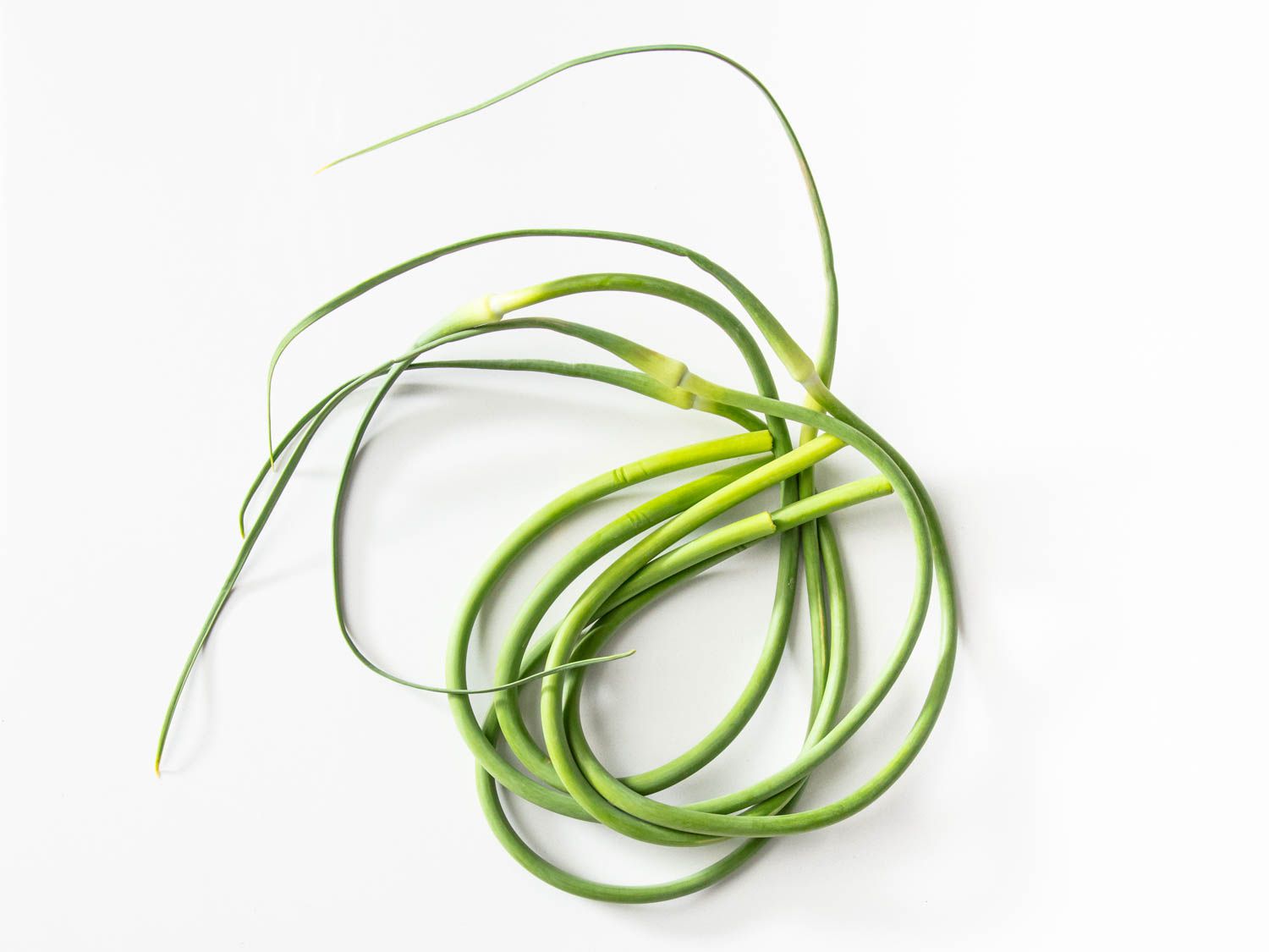 Garlic Scapes