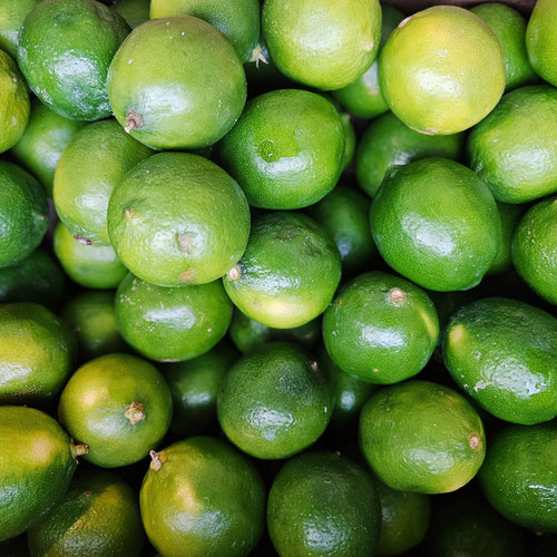 Beloved Acres Co-Op | Welcome to the Co-op! | Sandpoint, ID, US