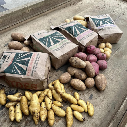 Local Bound | Welcome to Local Bound!