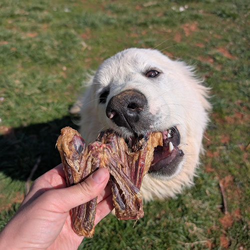 Dog Treats - Pastured Poultry from Apollo Acres — Huntsville Food Hub