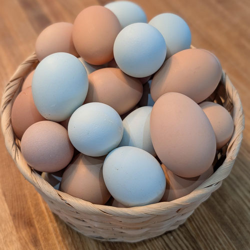 Pasture-Raised Chicken Eggs