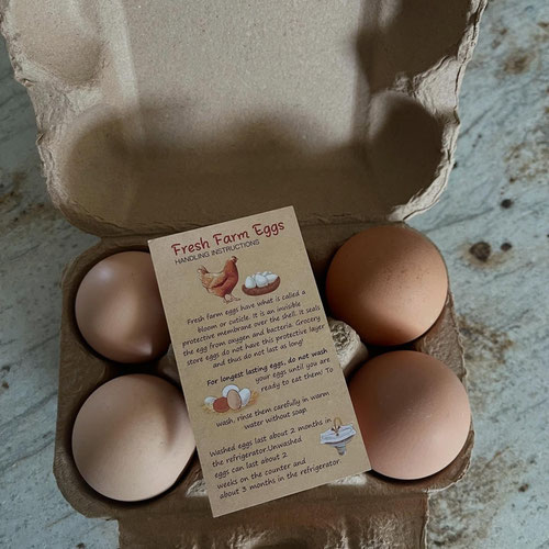 Fresh Eggs From the Farm (Half Dozen)