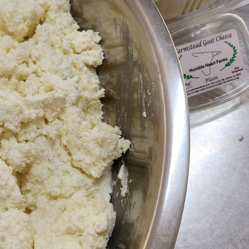 Plain Chevre Goat Cheese