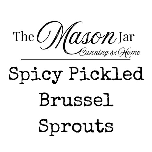 Pickled Brussels Sprouts - Spicy