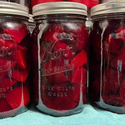 Pickled Beets