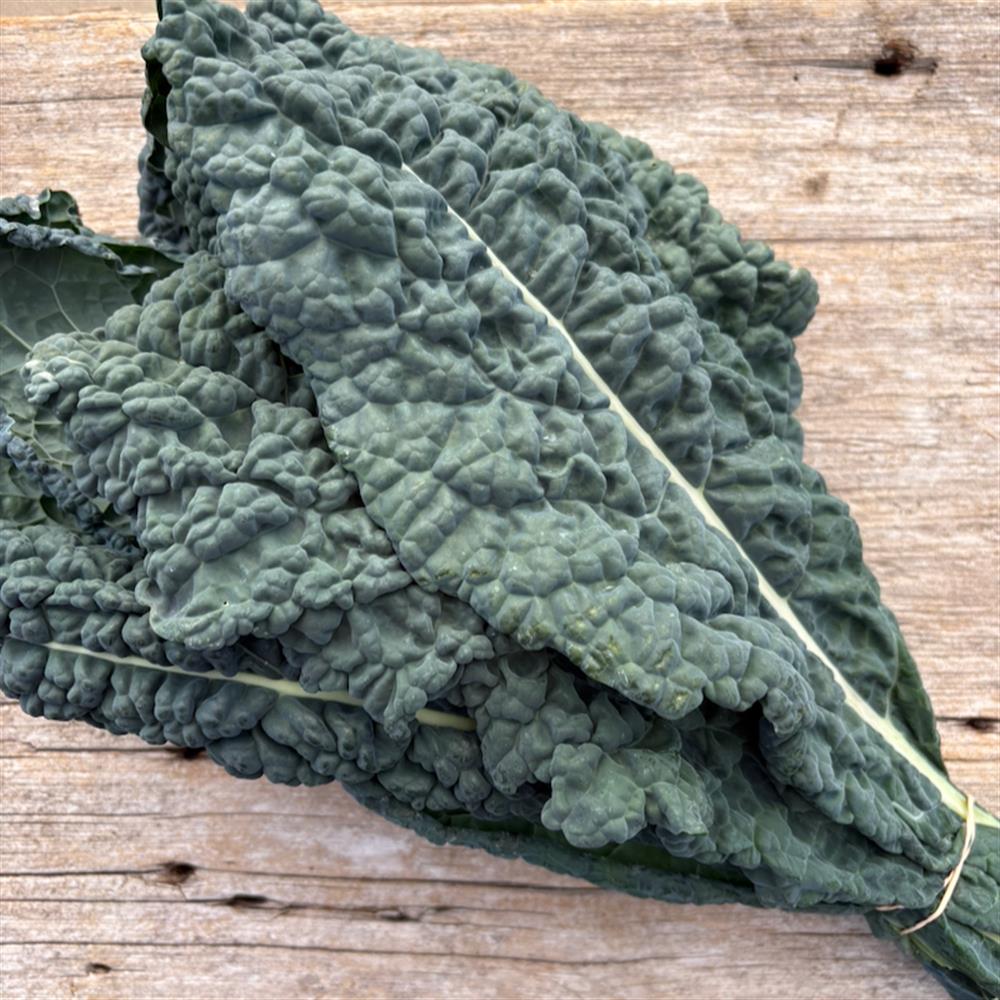 Kale, Dinosaur