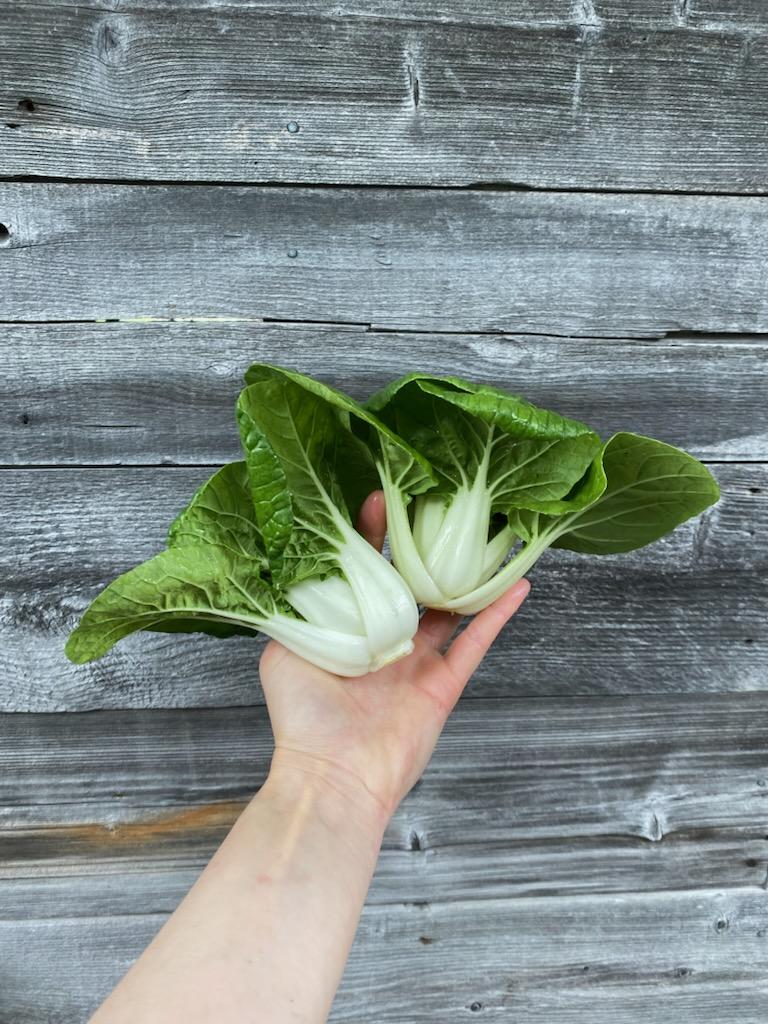 Bok Choy - White