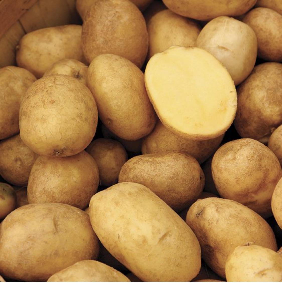 German Butterball Potatoes - Quart
