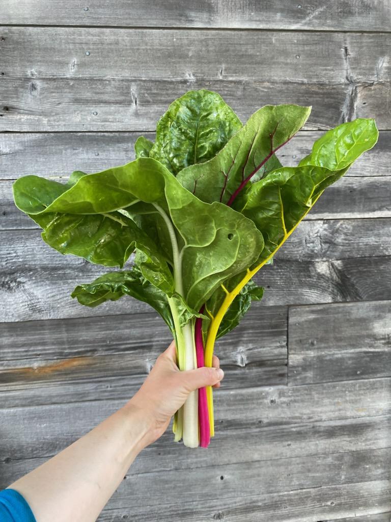 Chard - Rainbow