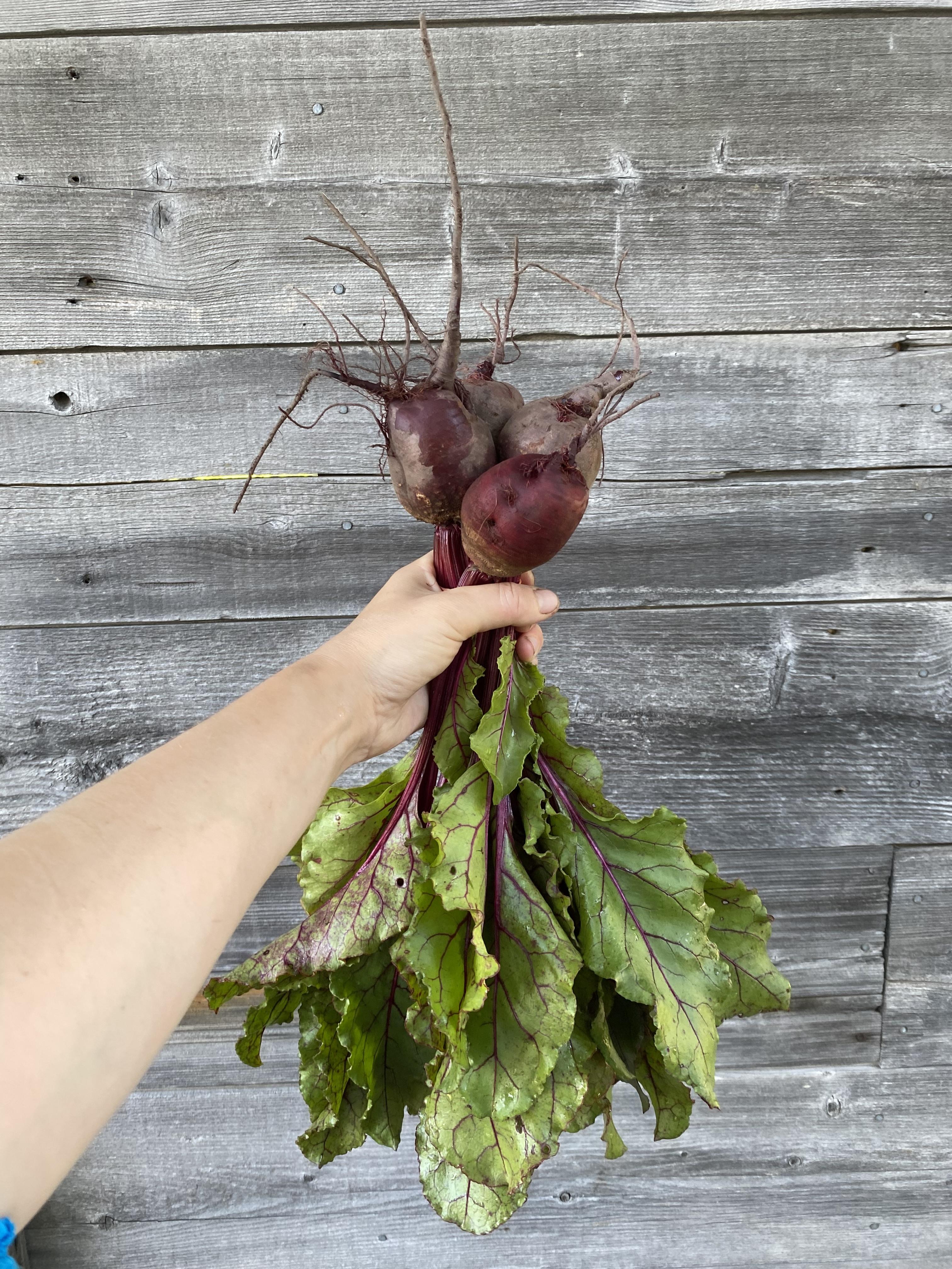 Beets - Red