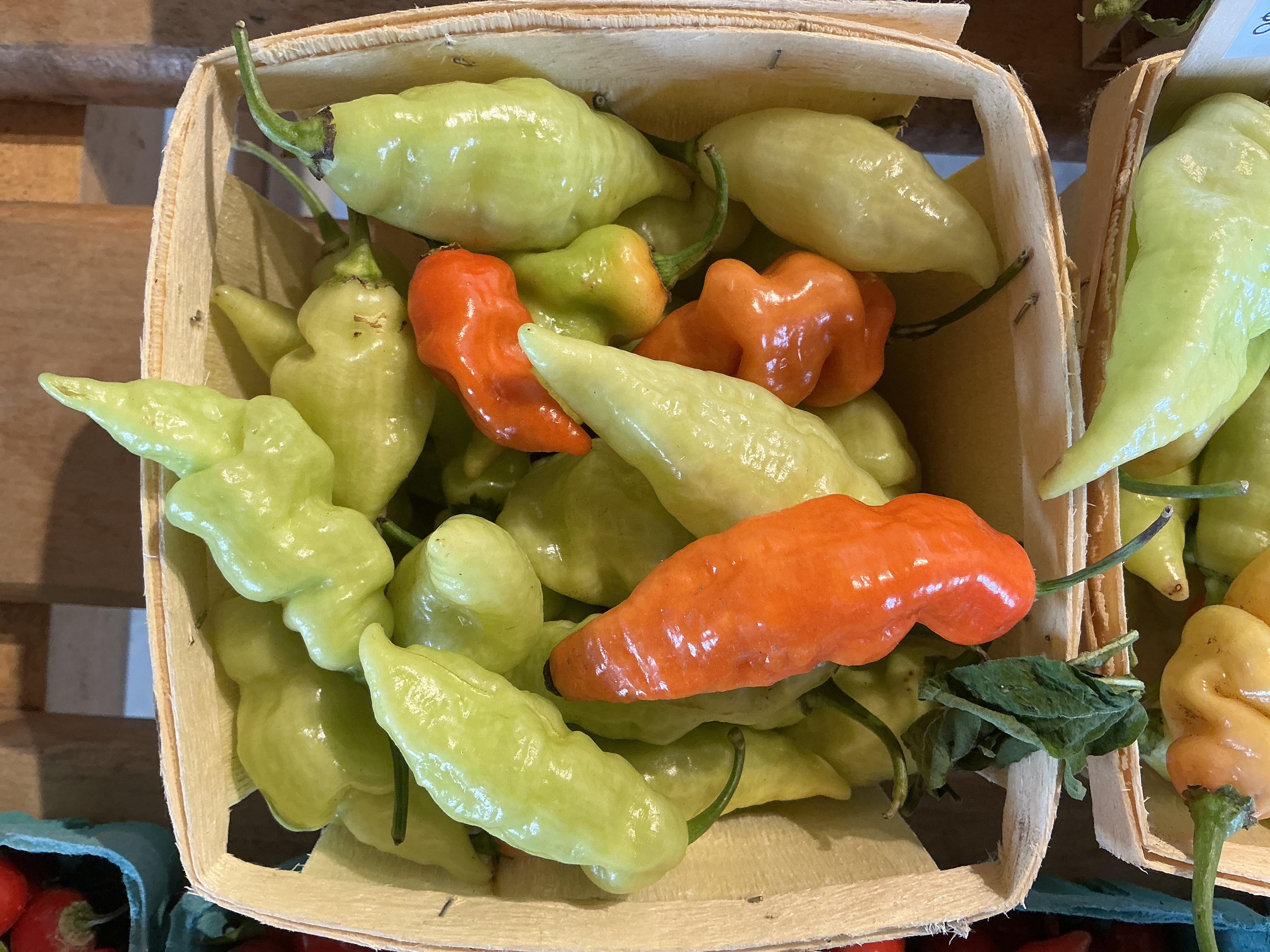 Certified Organic Habanada Peppers