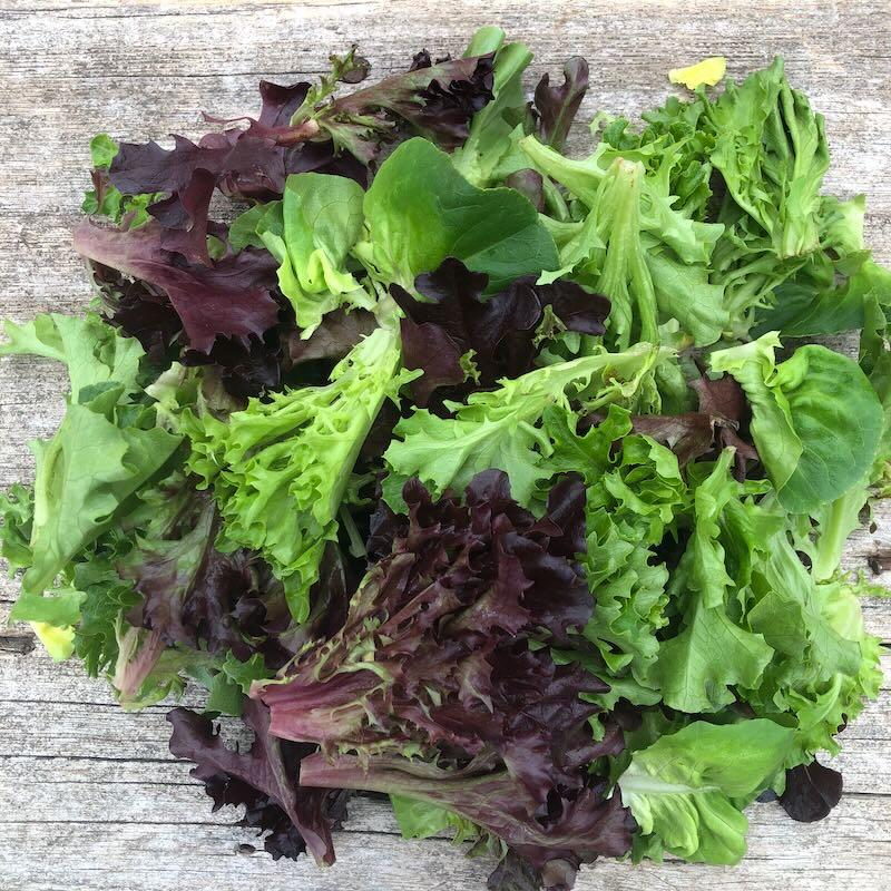Lettuce Mix