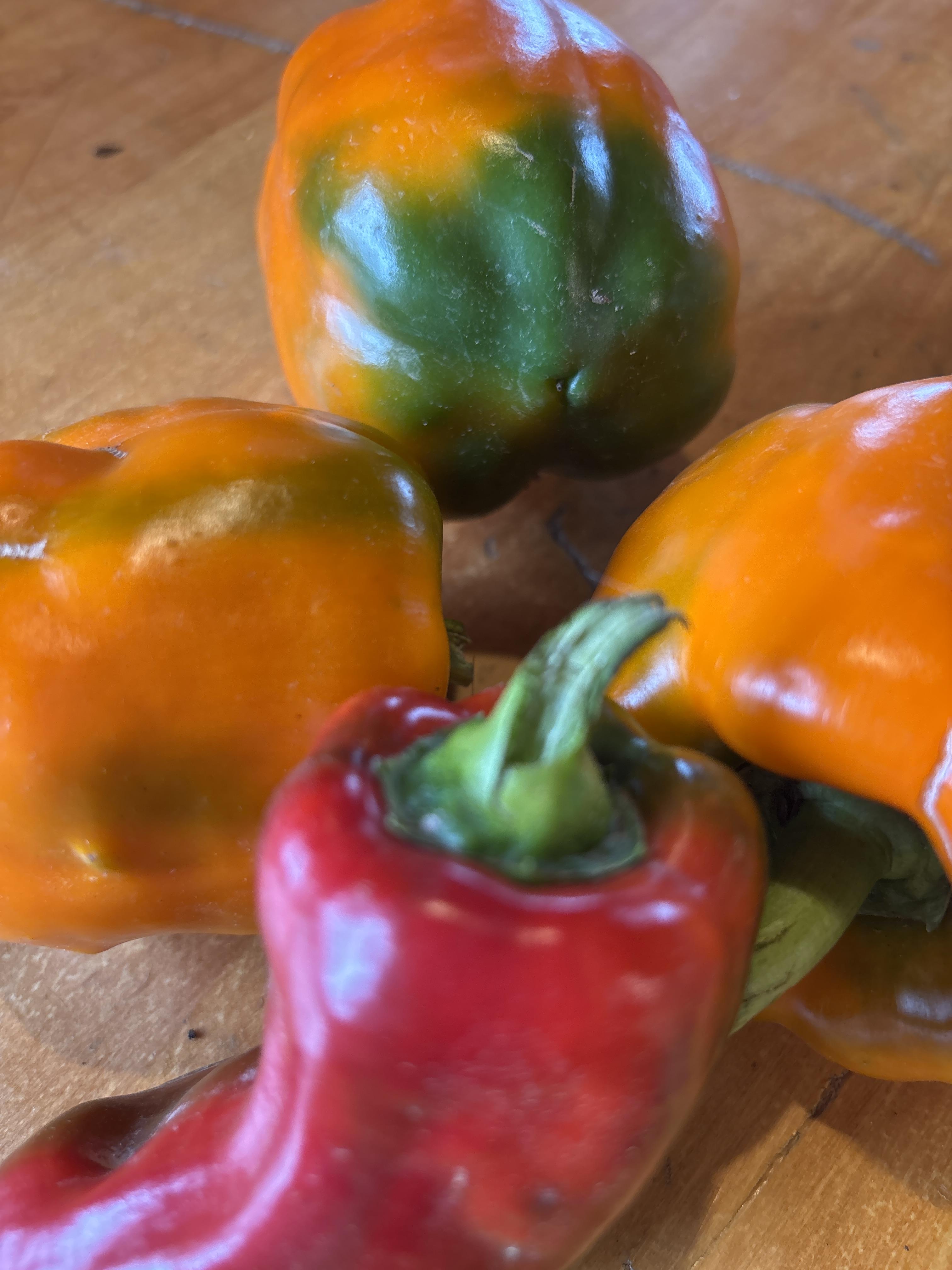 Certified Organic Sweet Peppers - various colours 1 lb