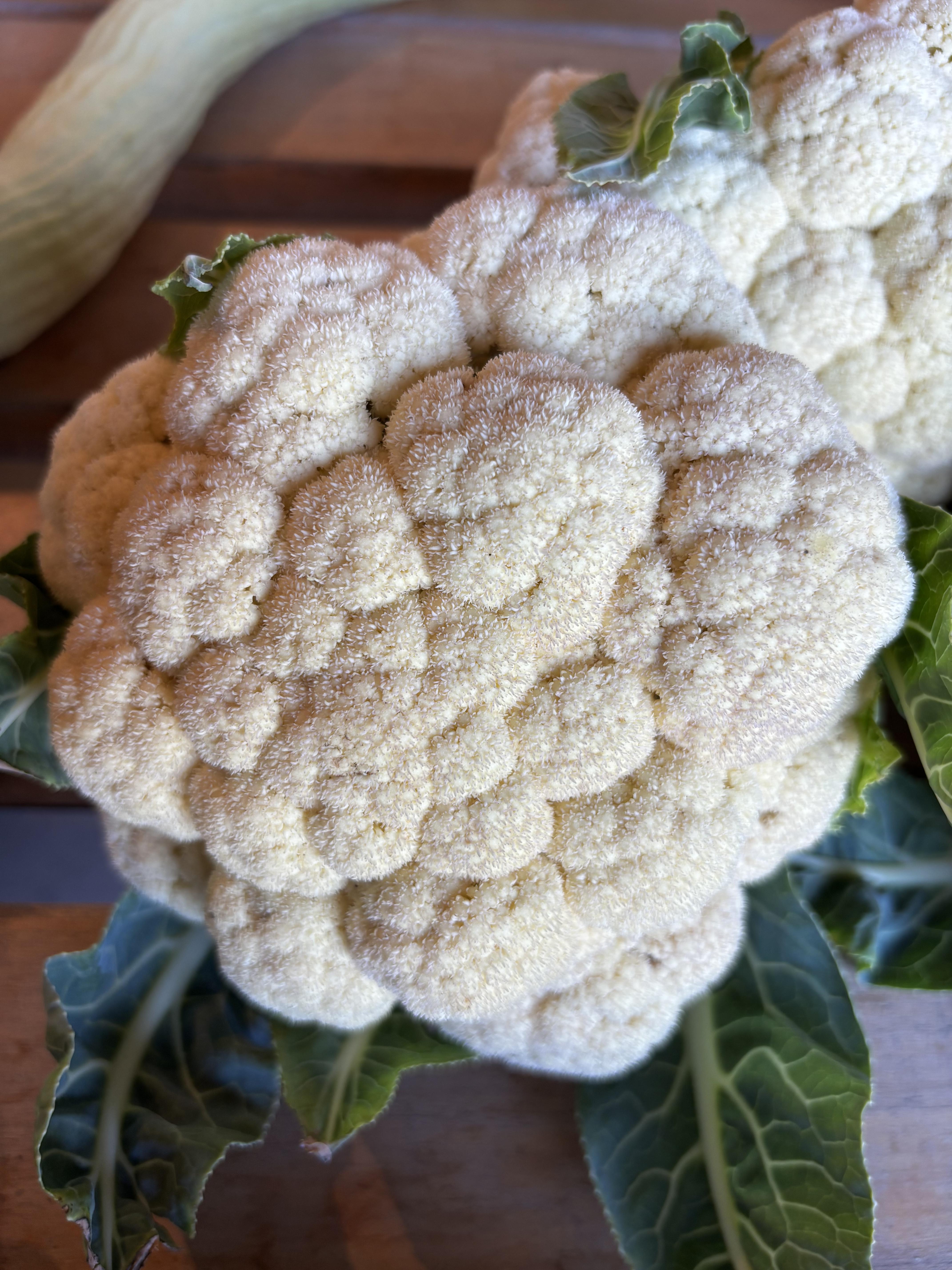 White cauliflower
