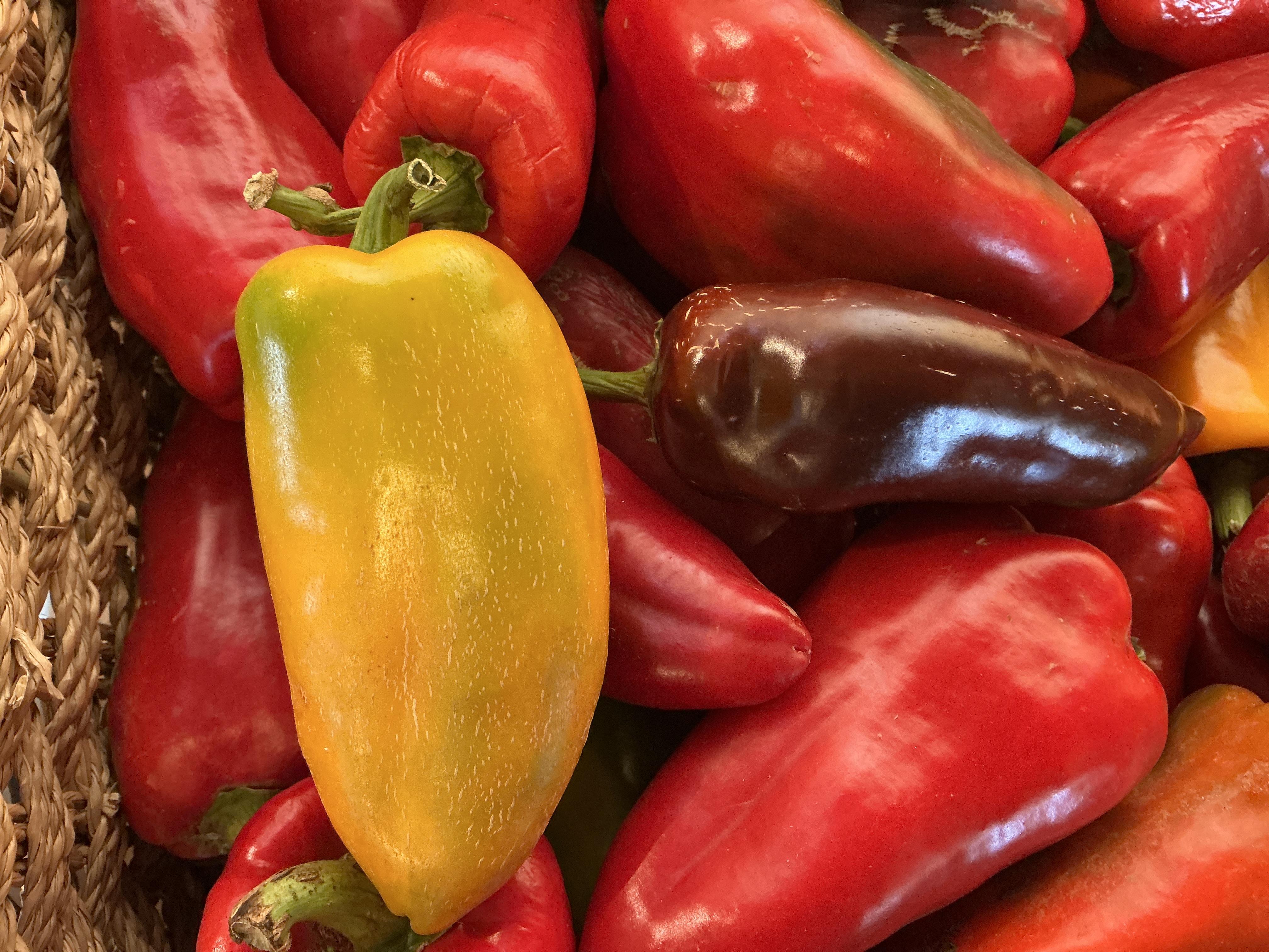 Certified Organic Mix of Sweet Peppers