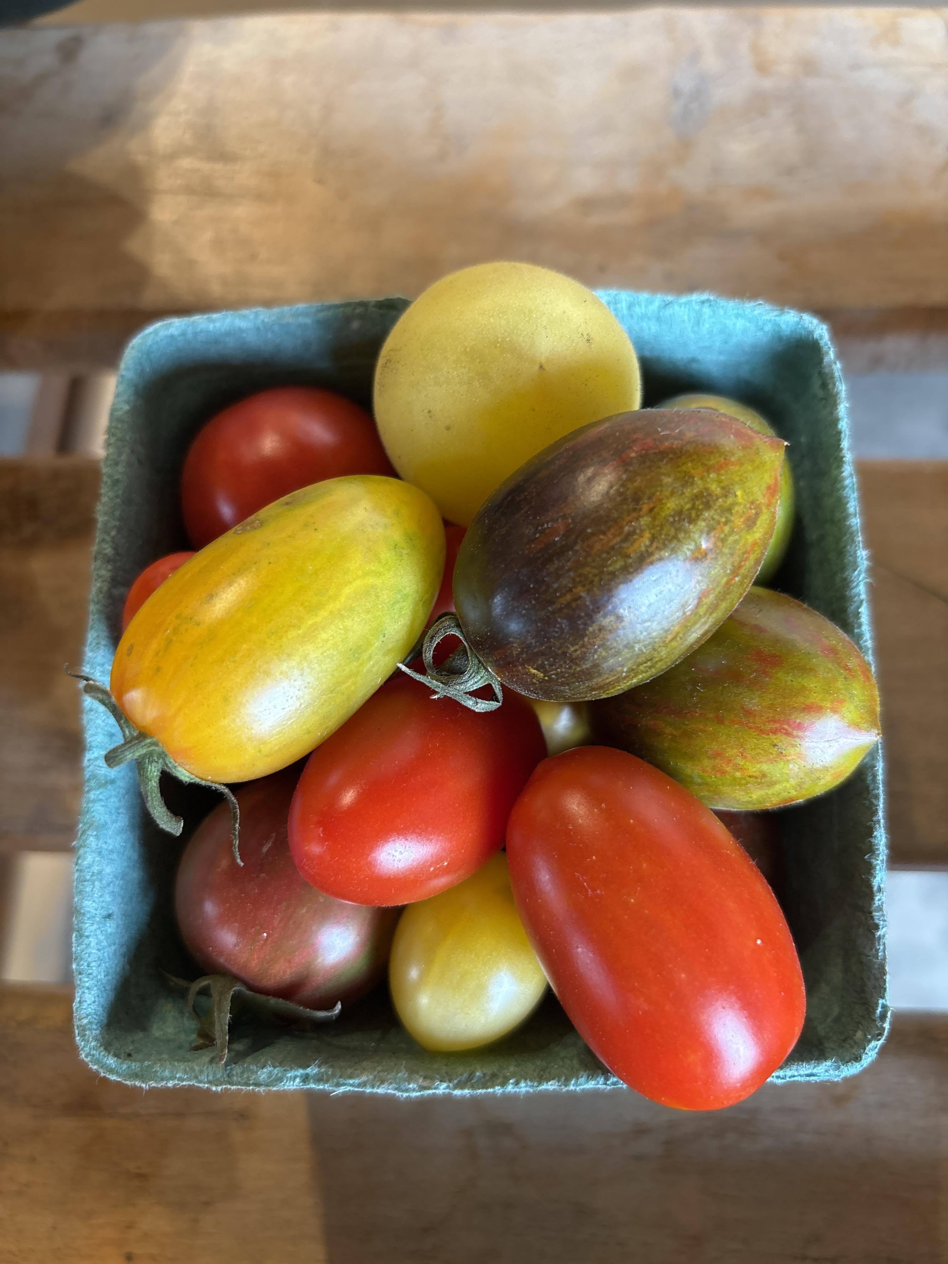 Certified Organic Tomatoes