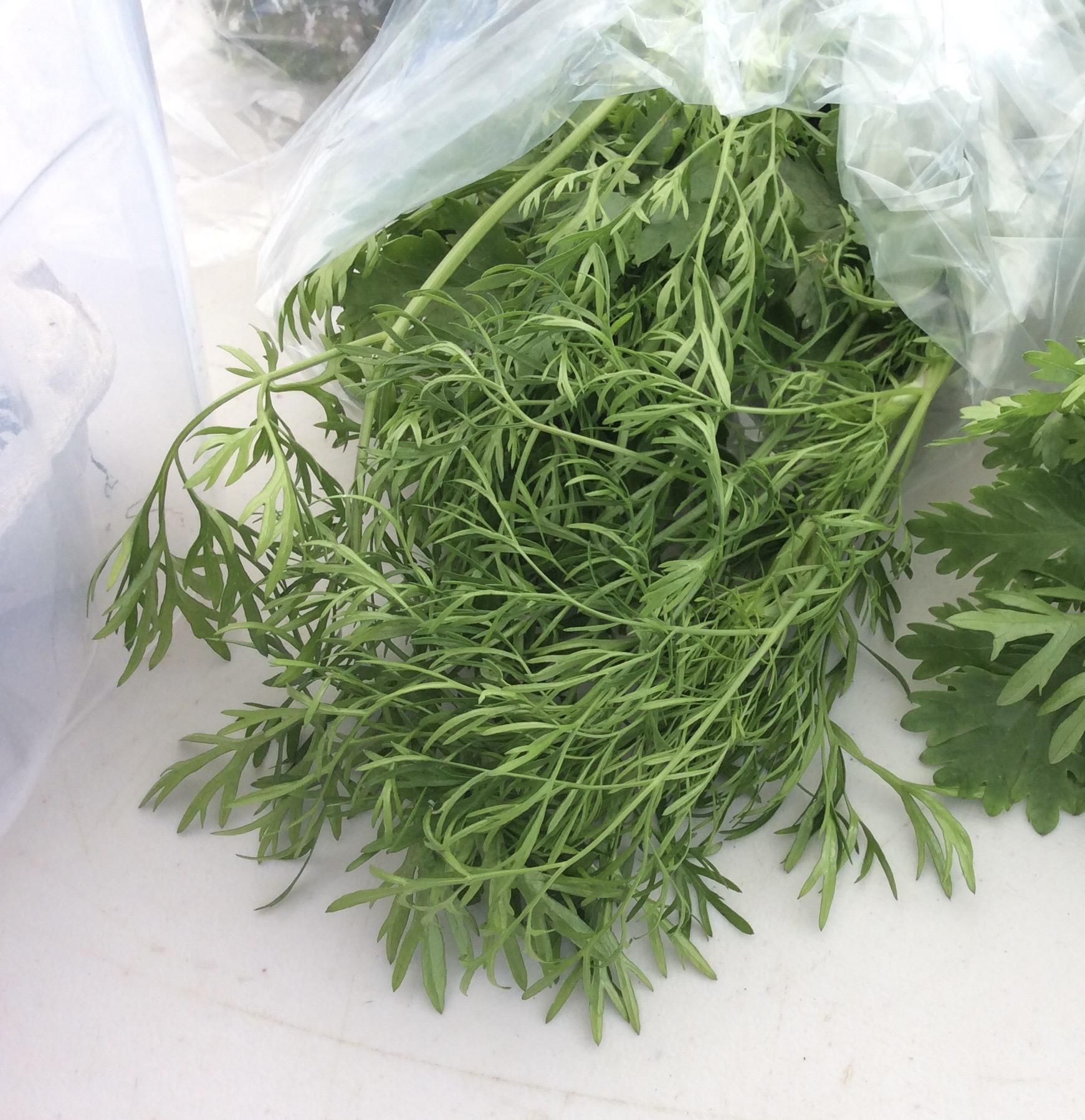 Certified Organic Dill