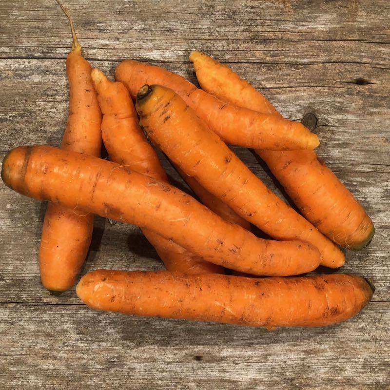 Carrots, Orange