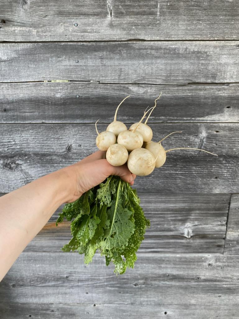 Hakurei Turnips