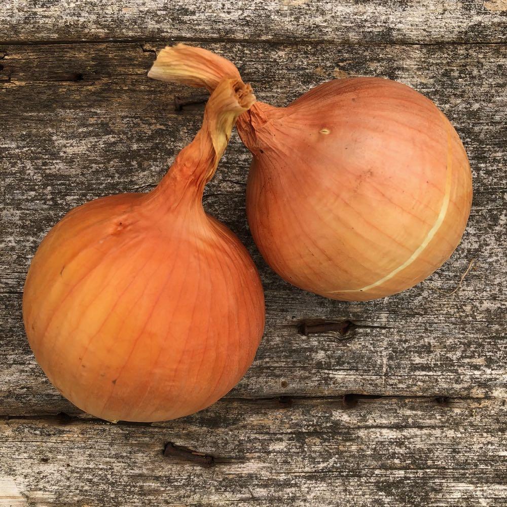 Onions, Yellow