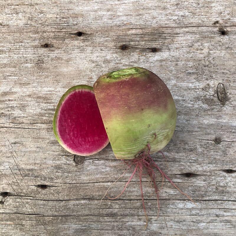 Radish, Watermelon