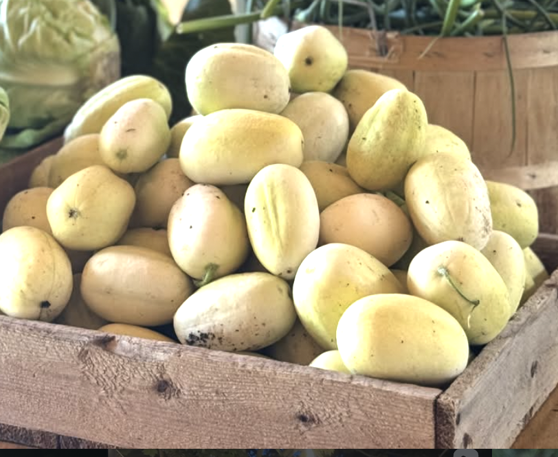 Dragon Egg Cucumbers