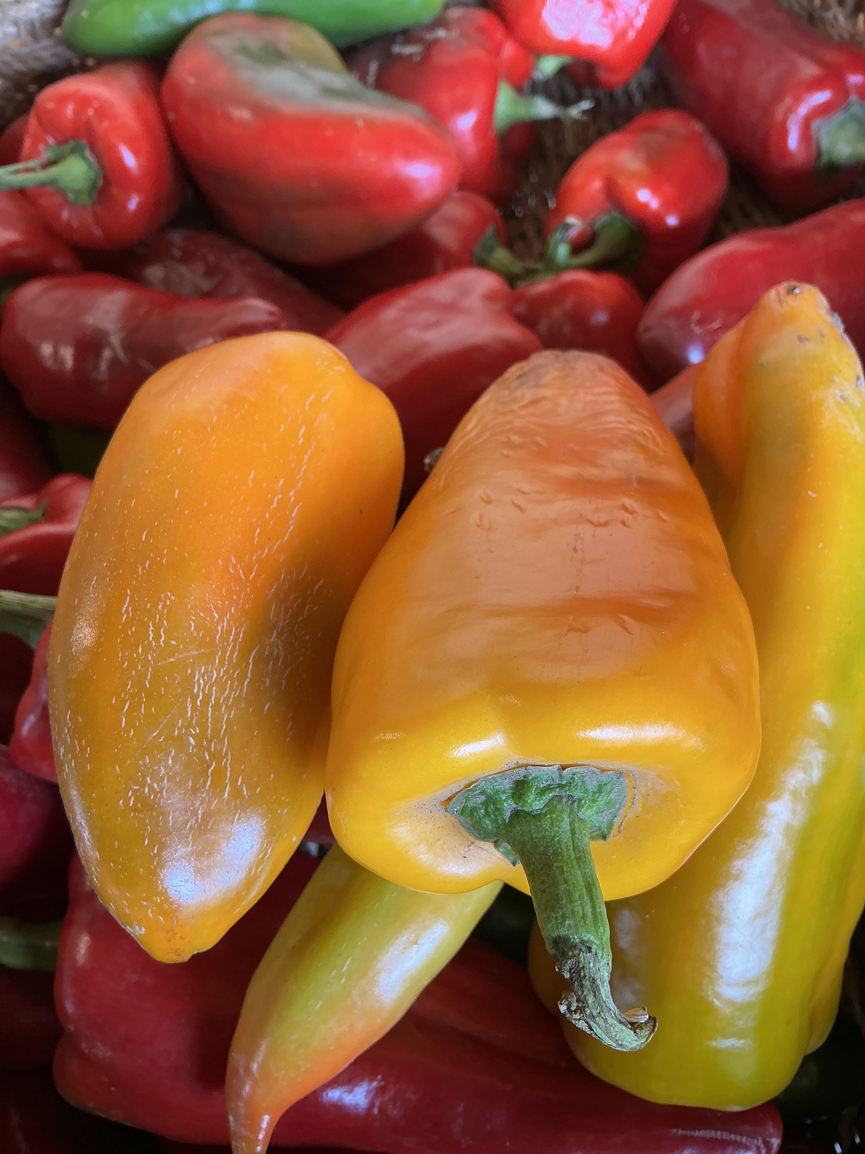 Yellow Roasting Peppers