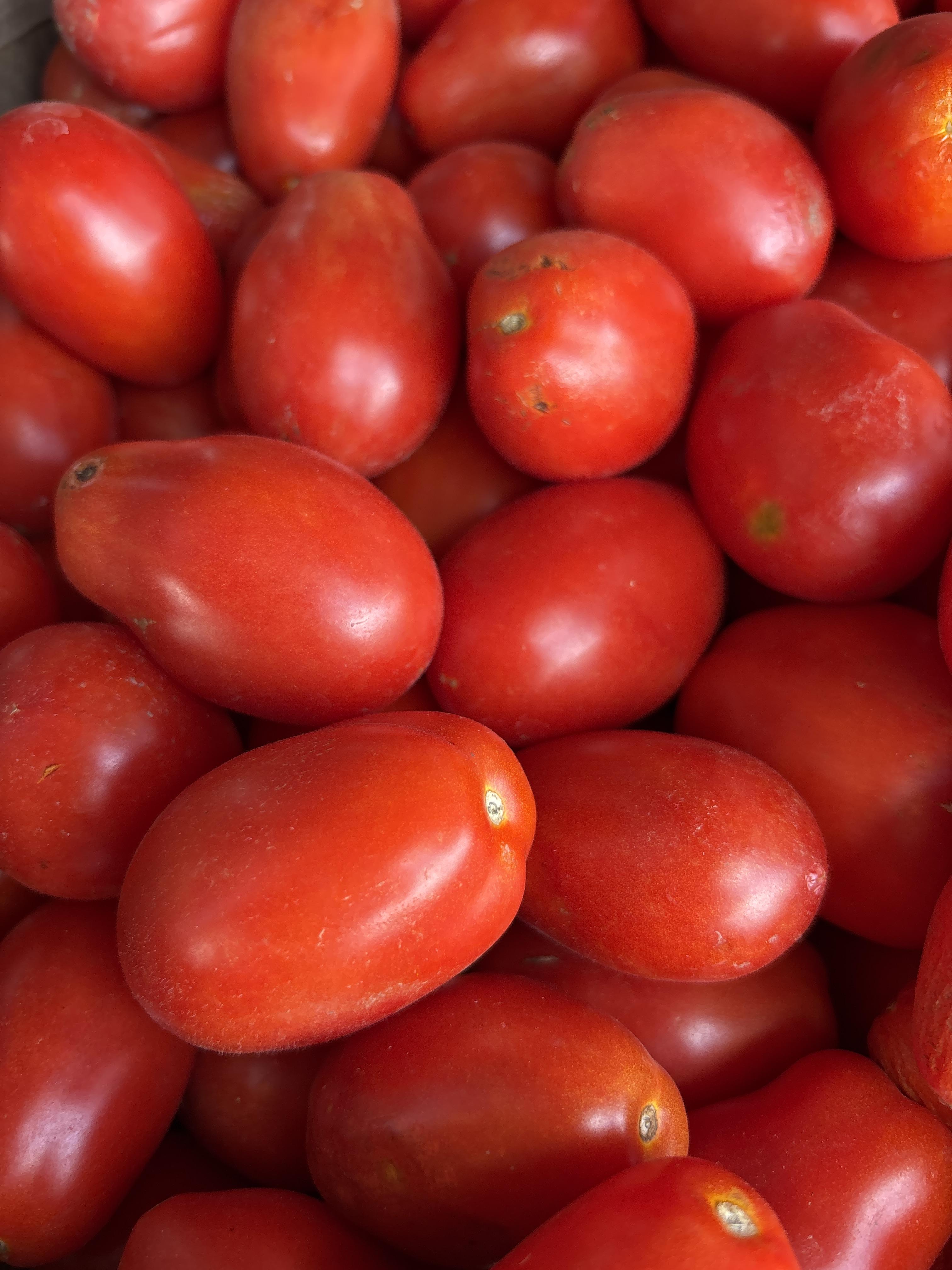 Certified Organic Tomatoes, Roma