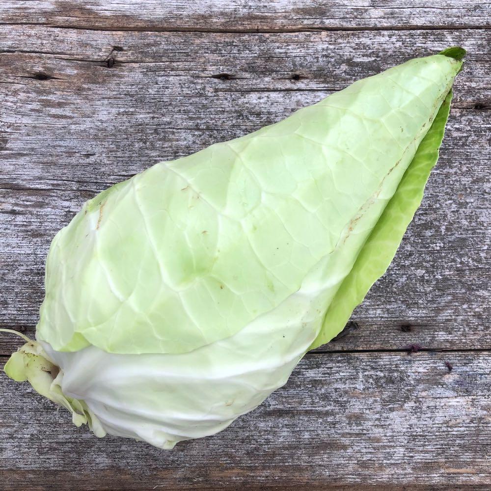 Caraflex cabbage