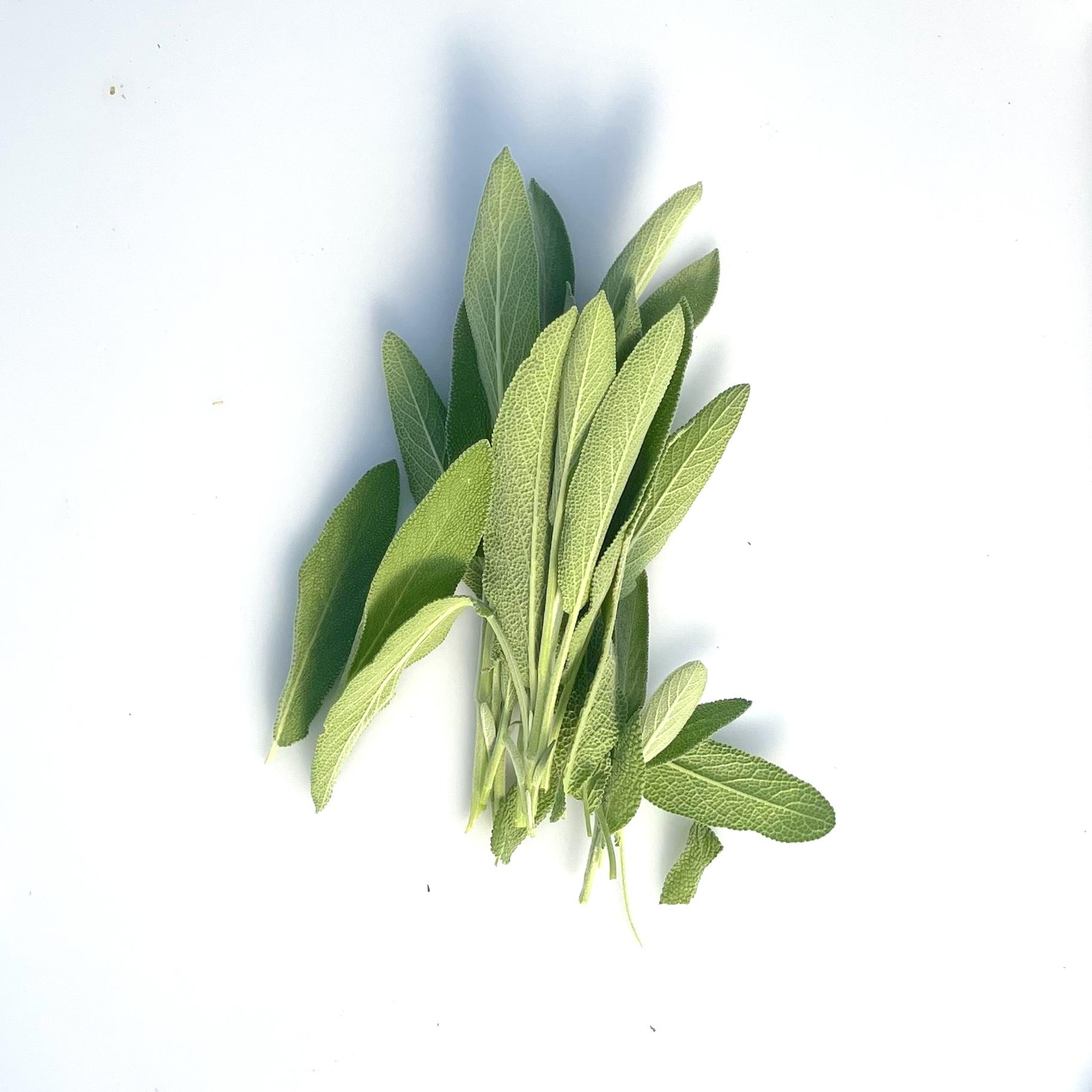 Sage
