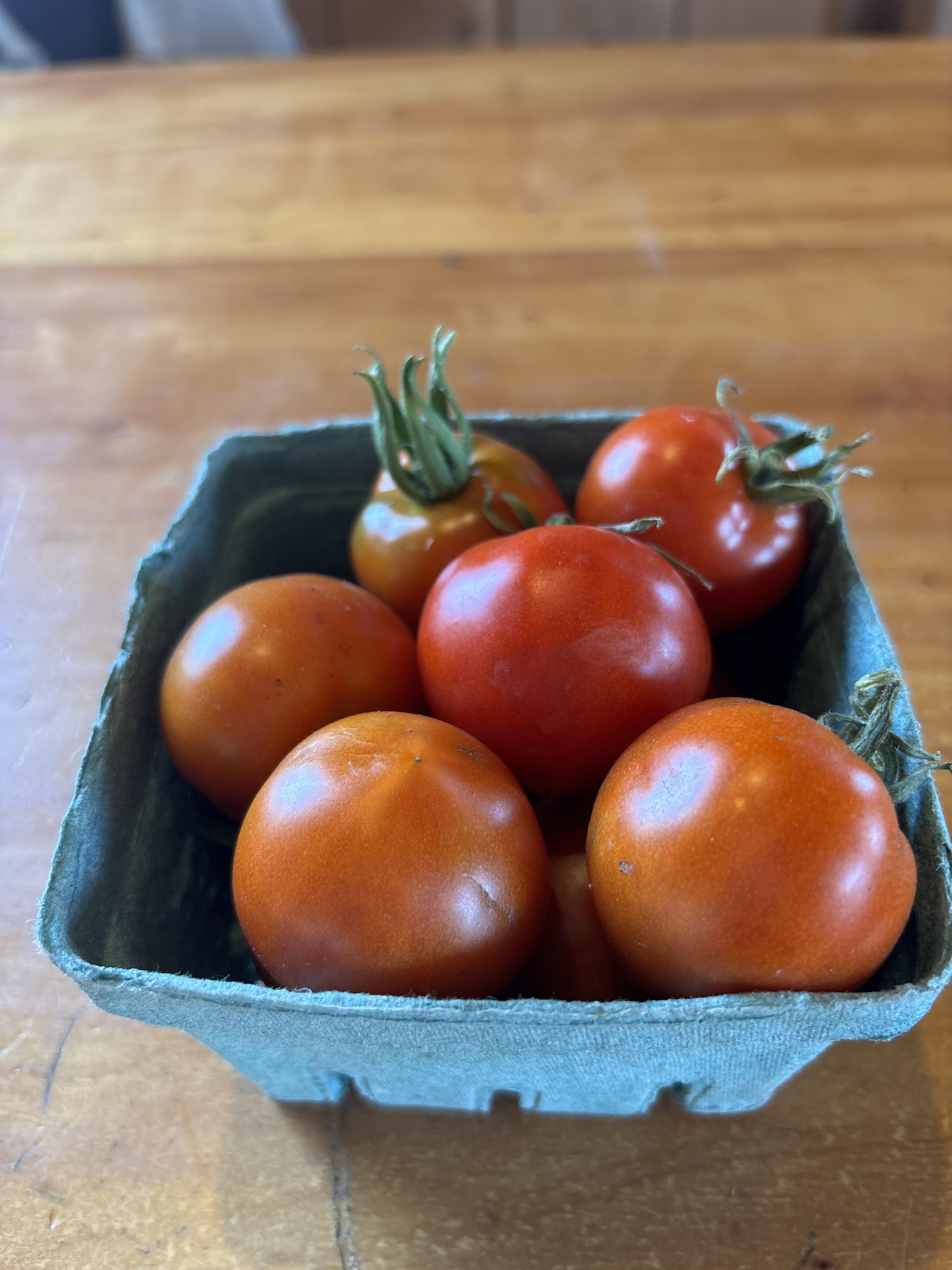 Certified Organic Tomatoes