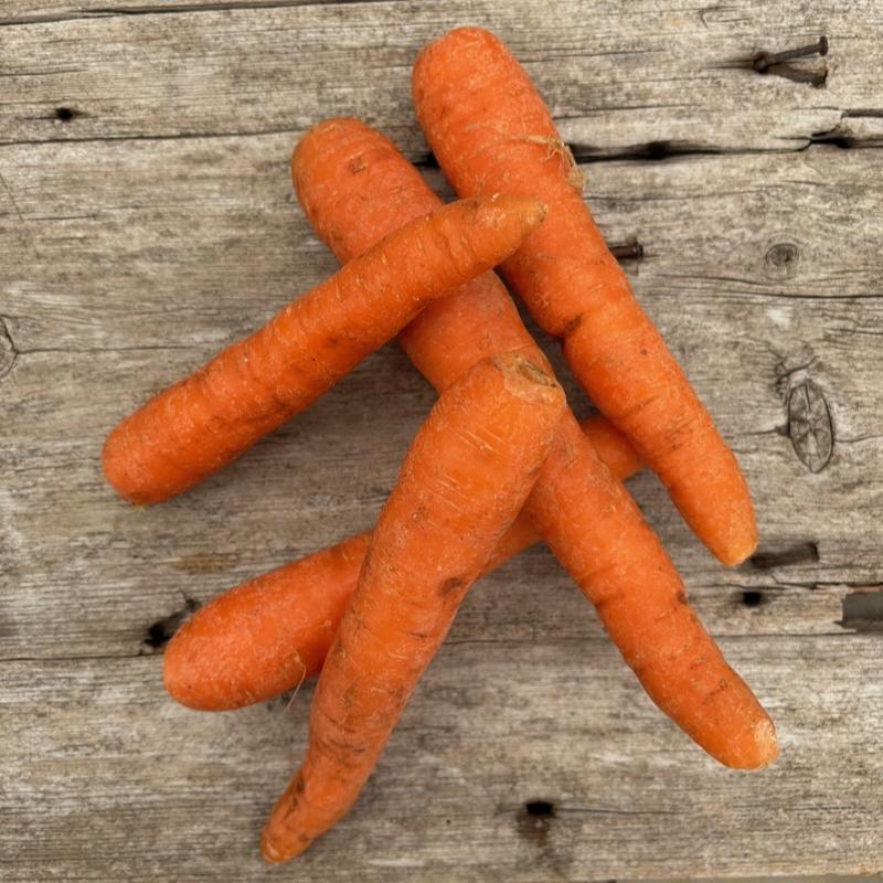 Fresh Carrots