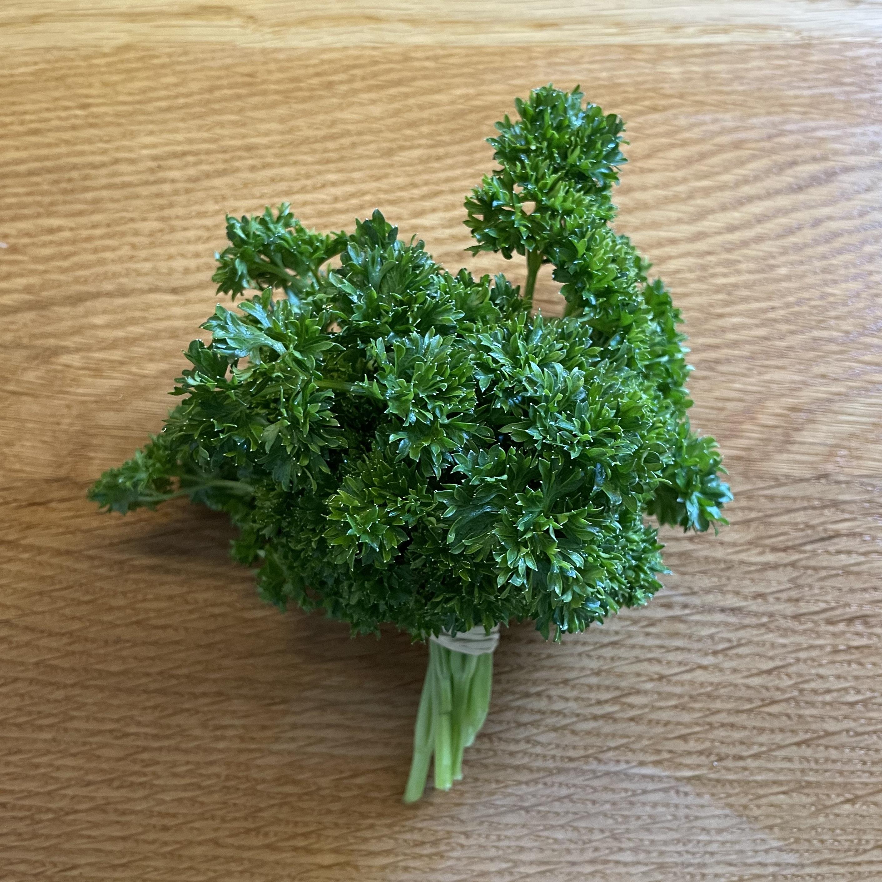 Curly Parsley