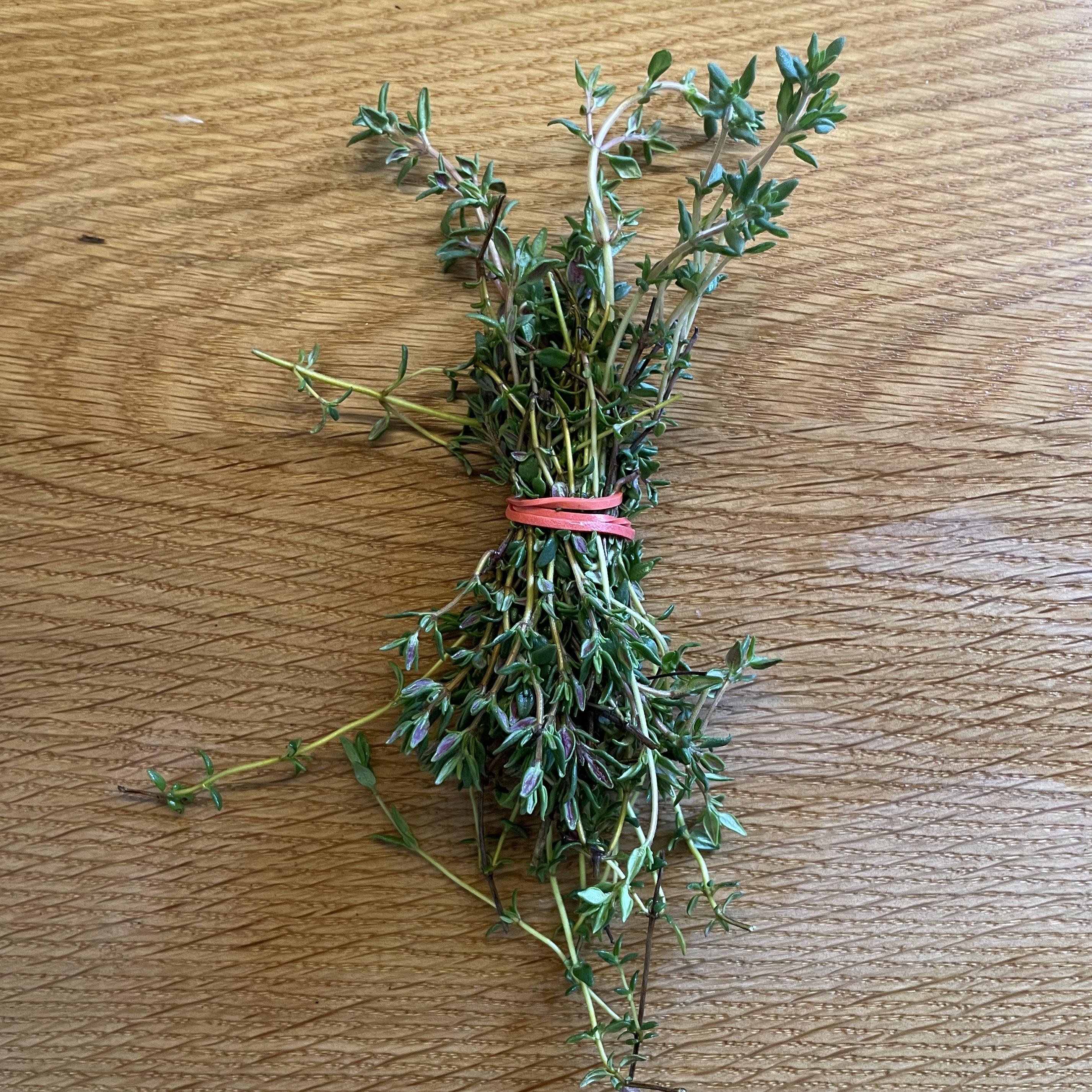 Thyme