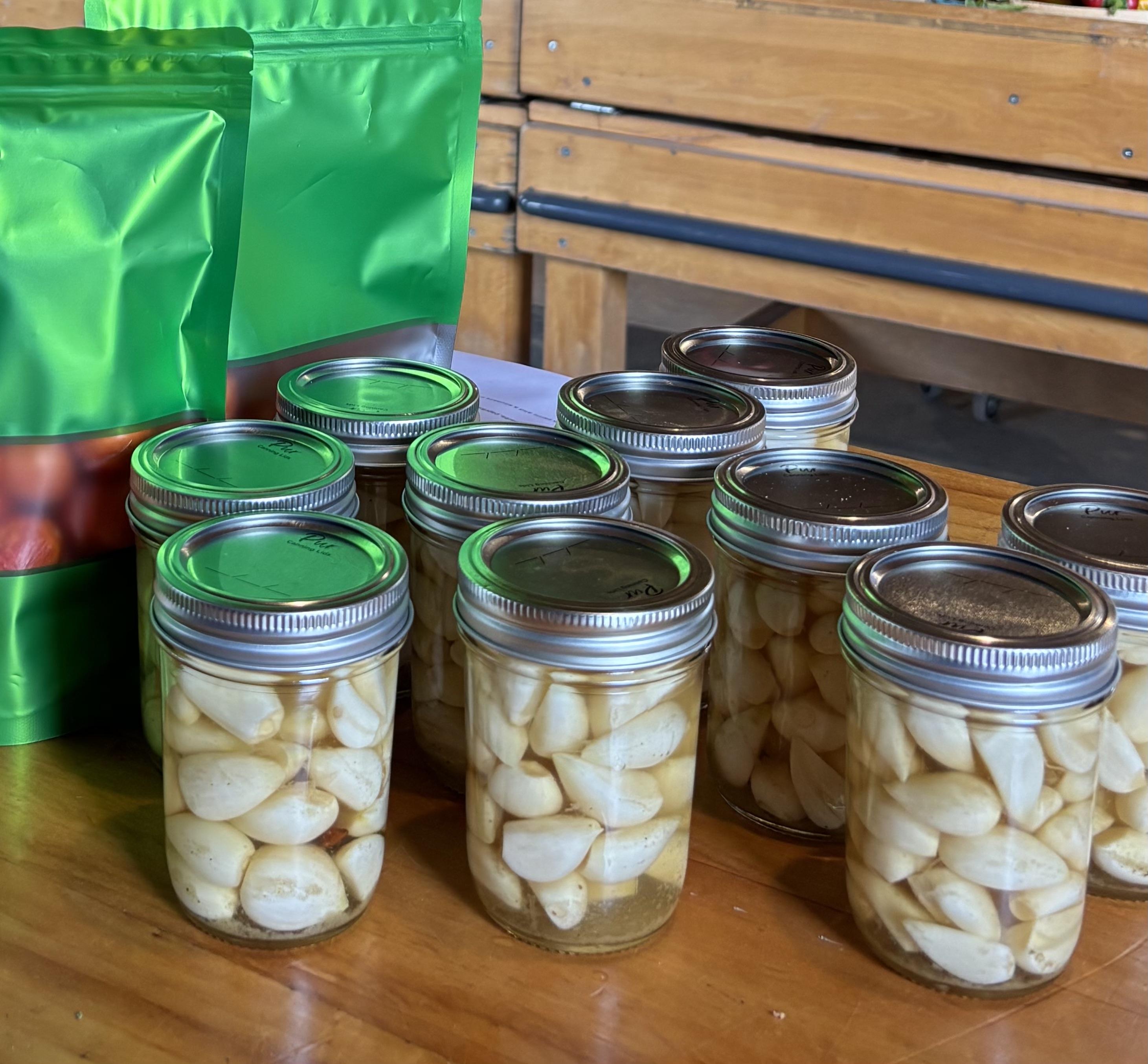 Pickled Garlic