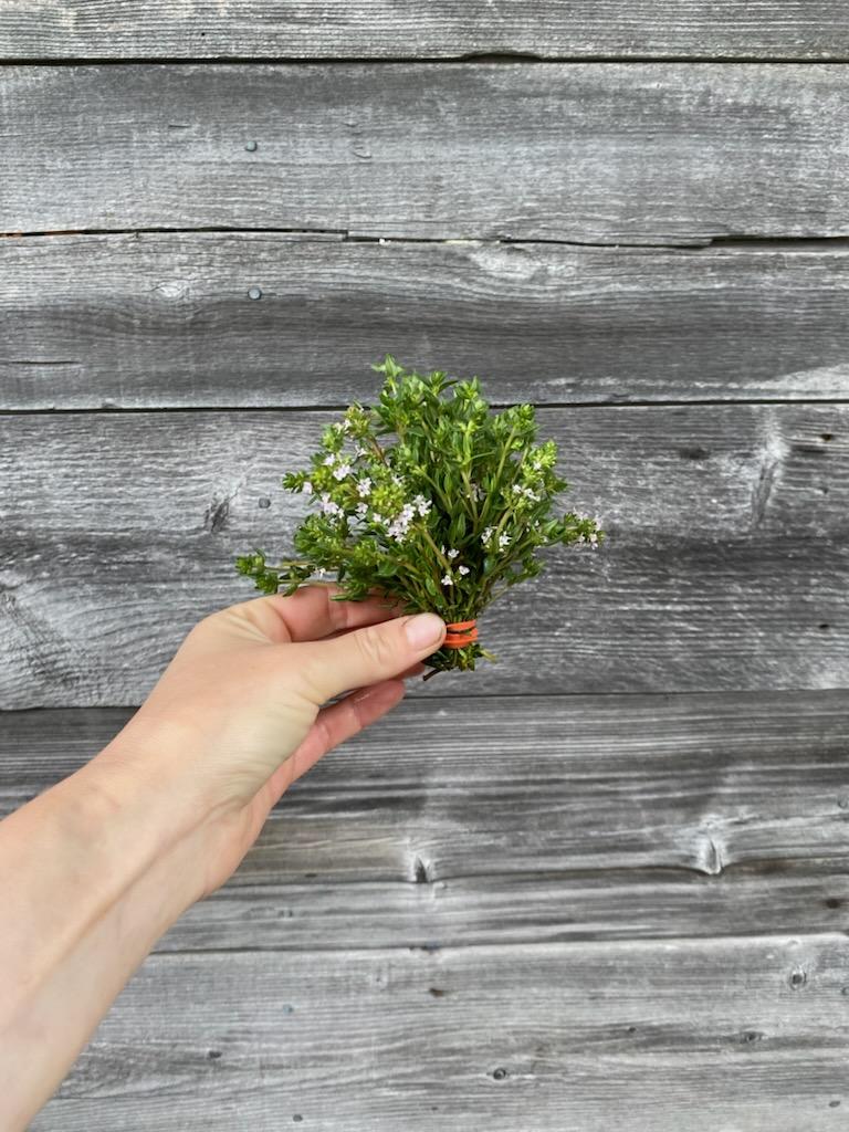Thyme
