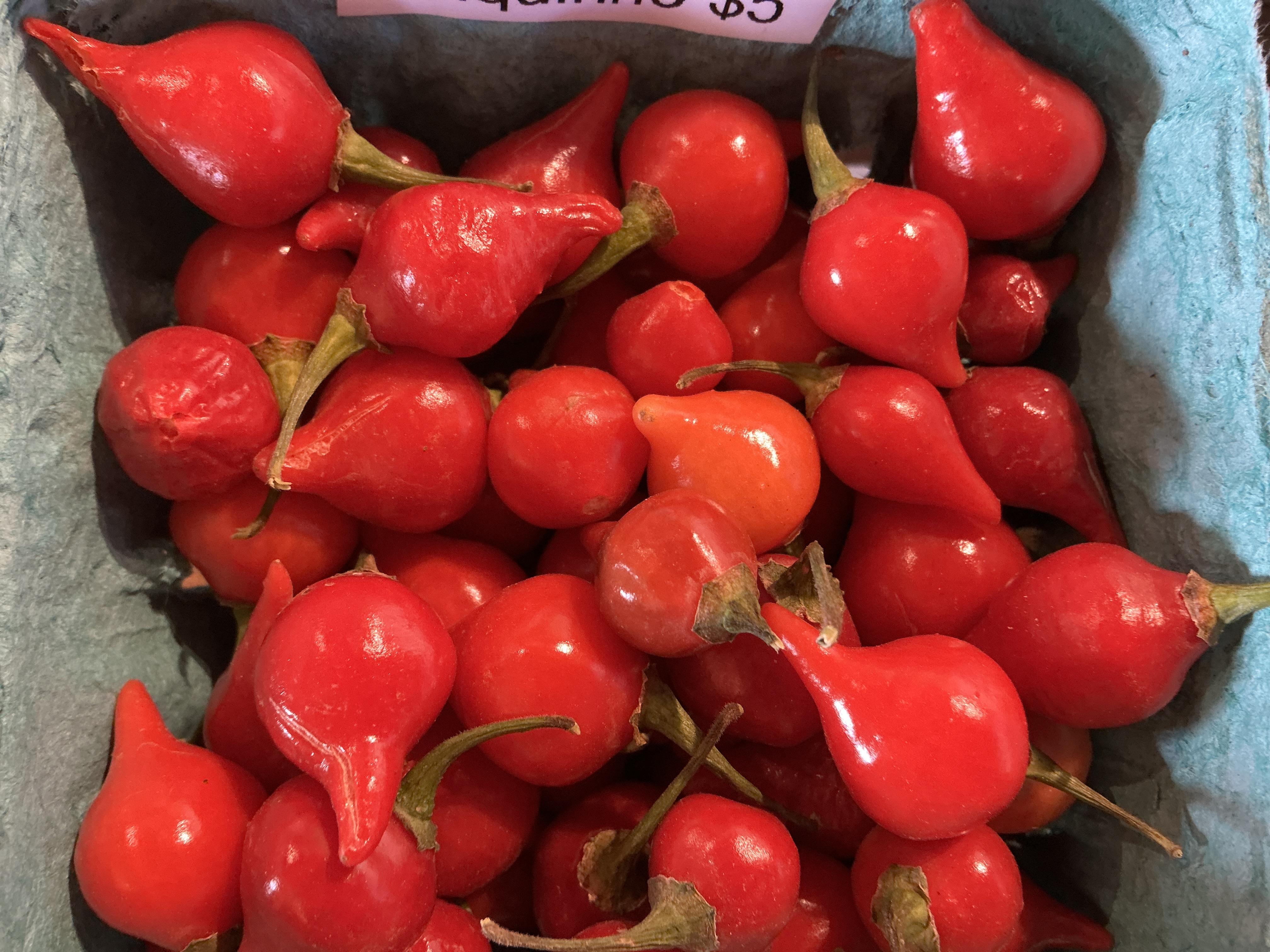 Hot Biquinho Peppers