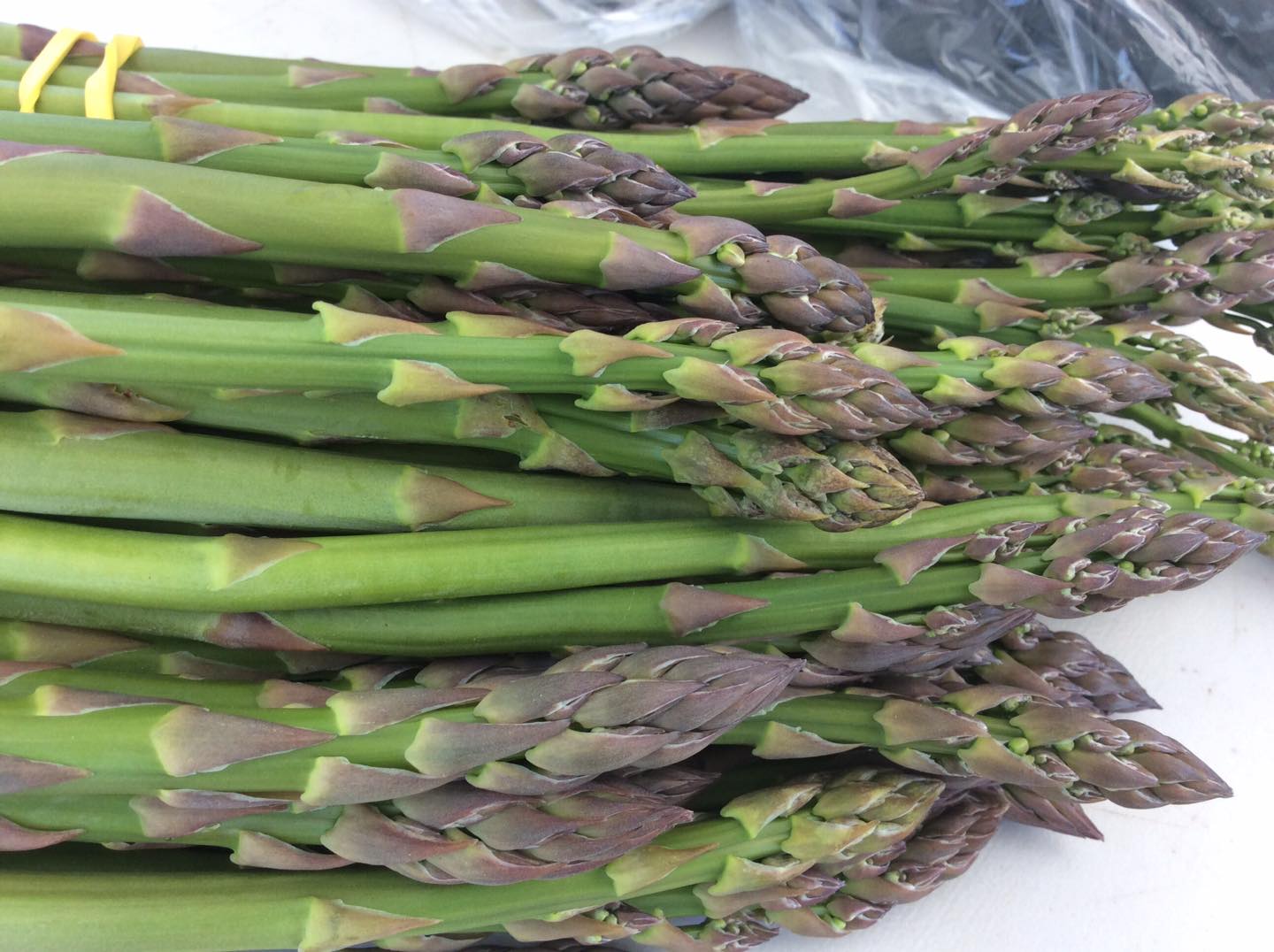 Certified Organic Asparagus