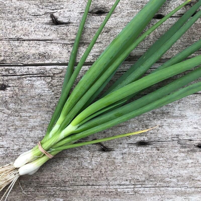 Scallions