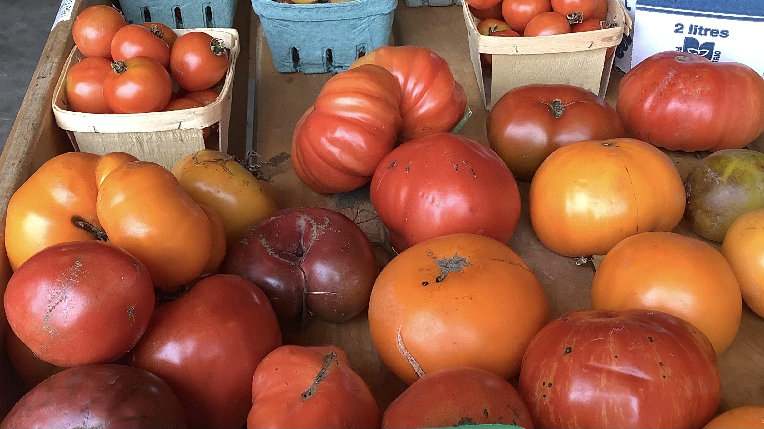Heirloom Tomatoes