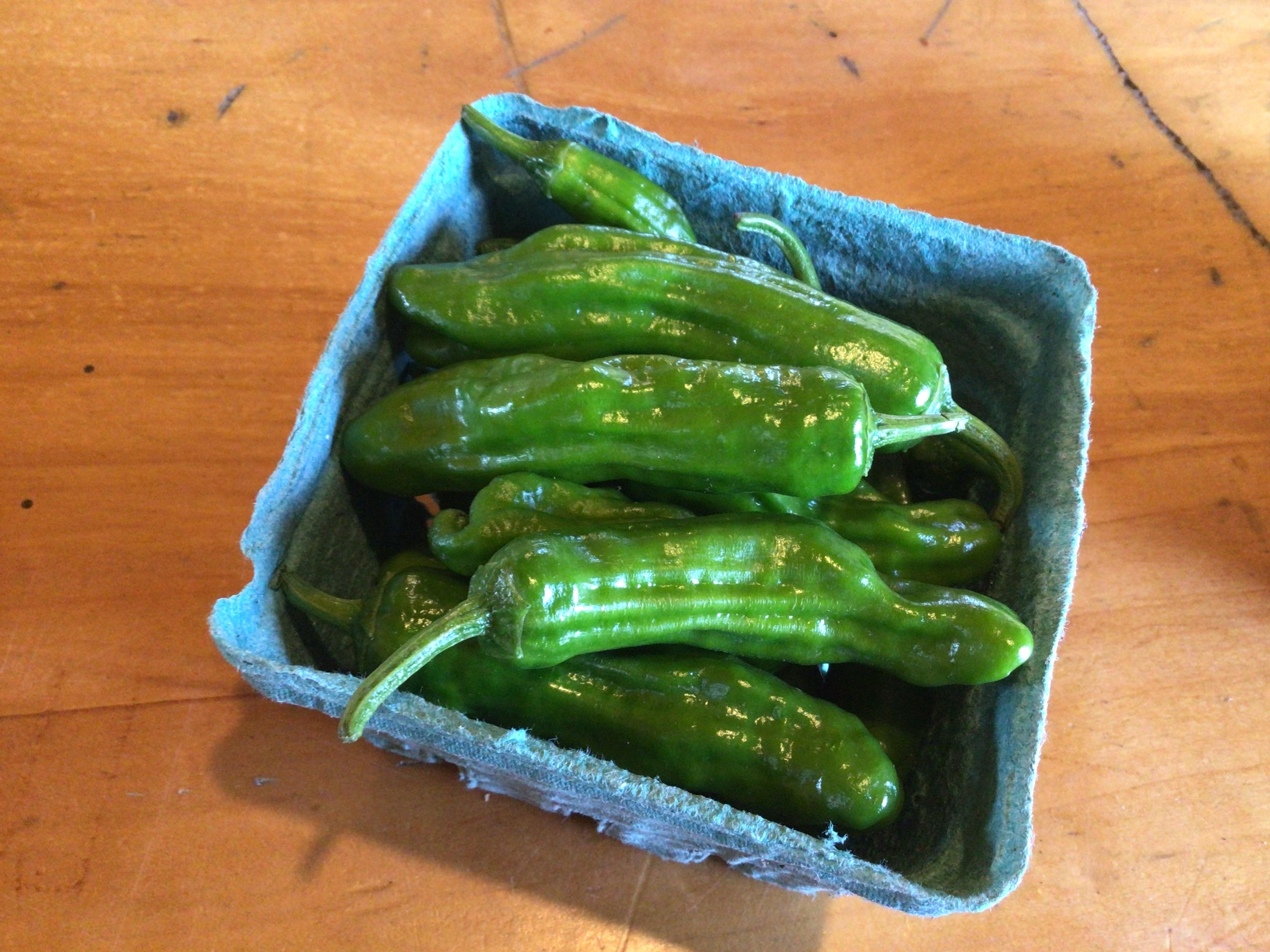 Certified Organic Shishito Peppers