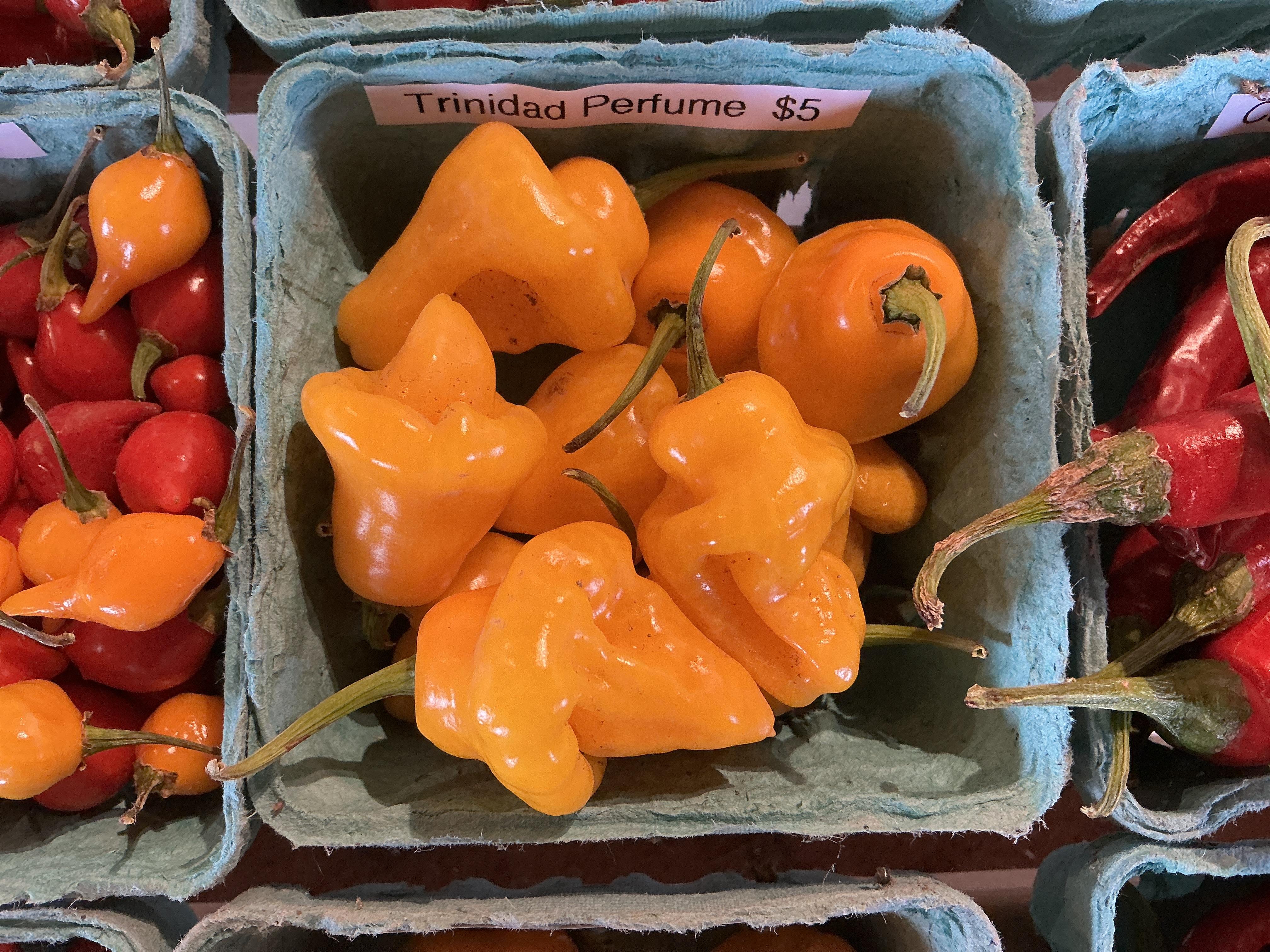Certified Organic Trinidad Perfume Peppers