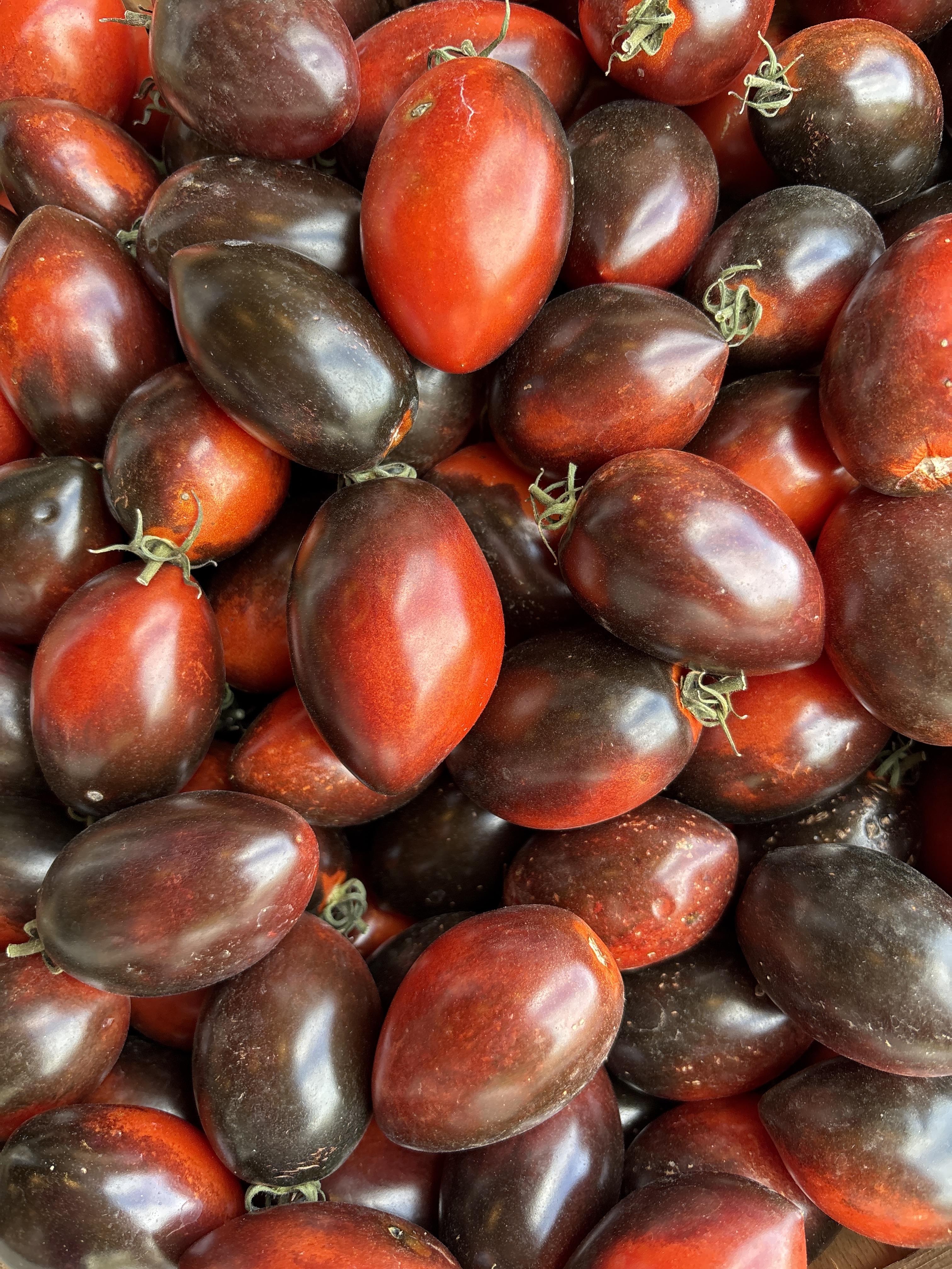 Certified Organic Tomatoes, Midnight Roma