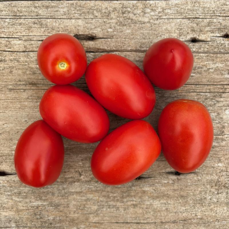 Tomatoes, Sauce
