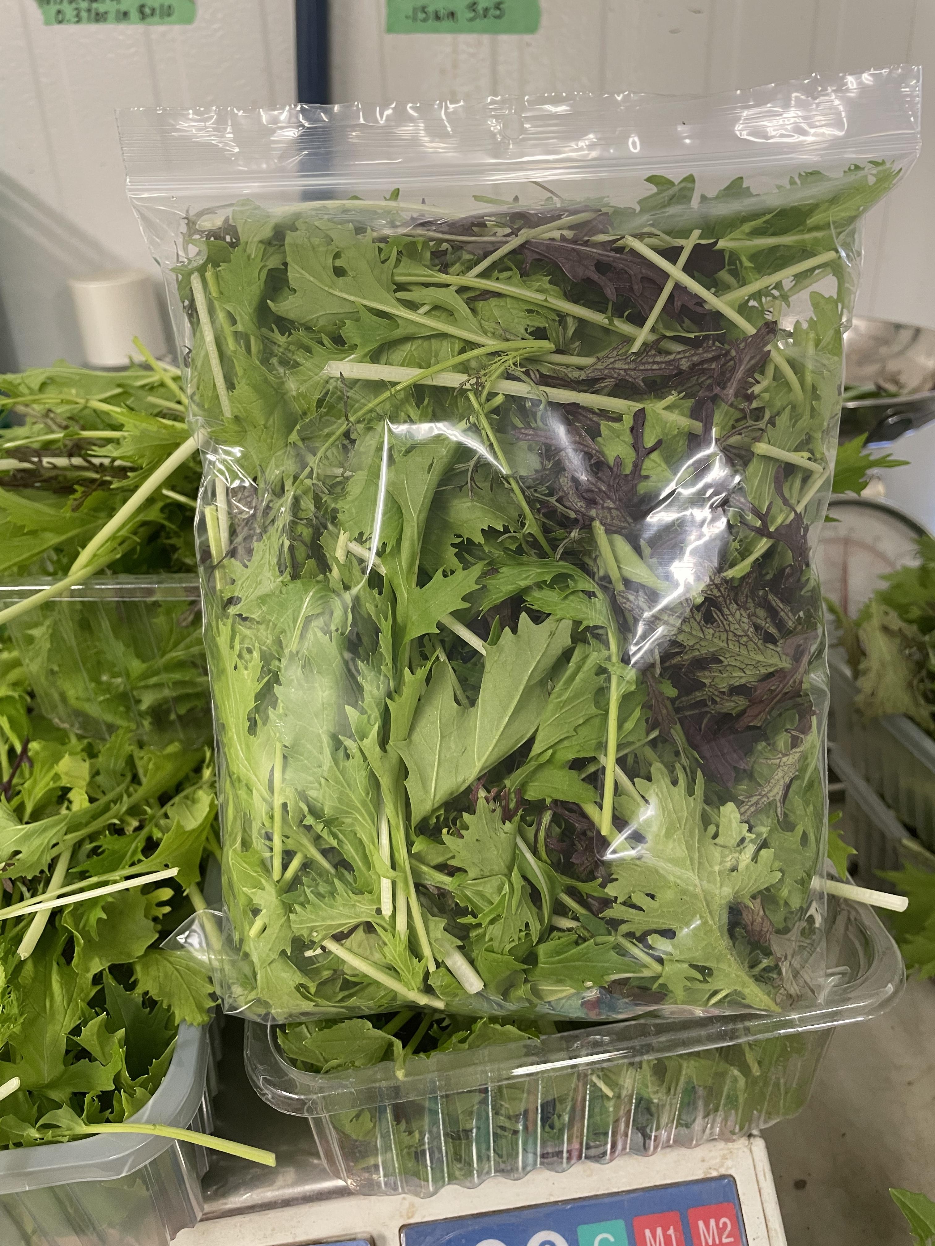 Mustard Greens Mix