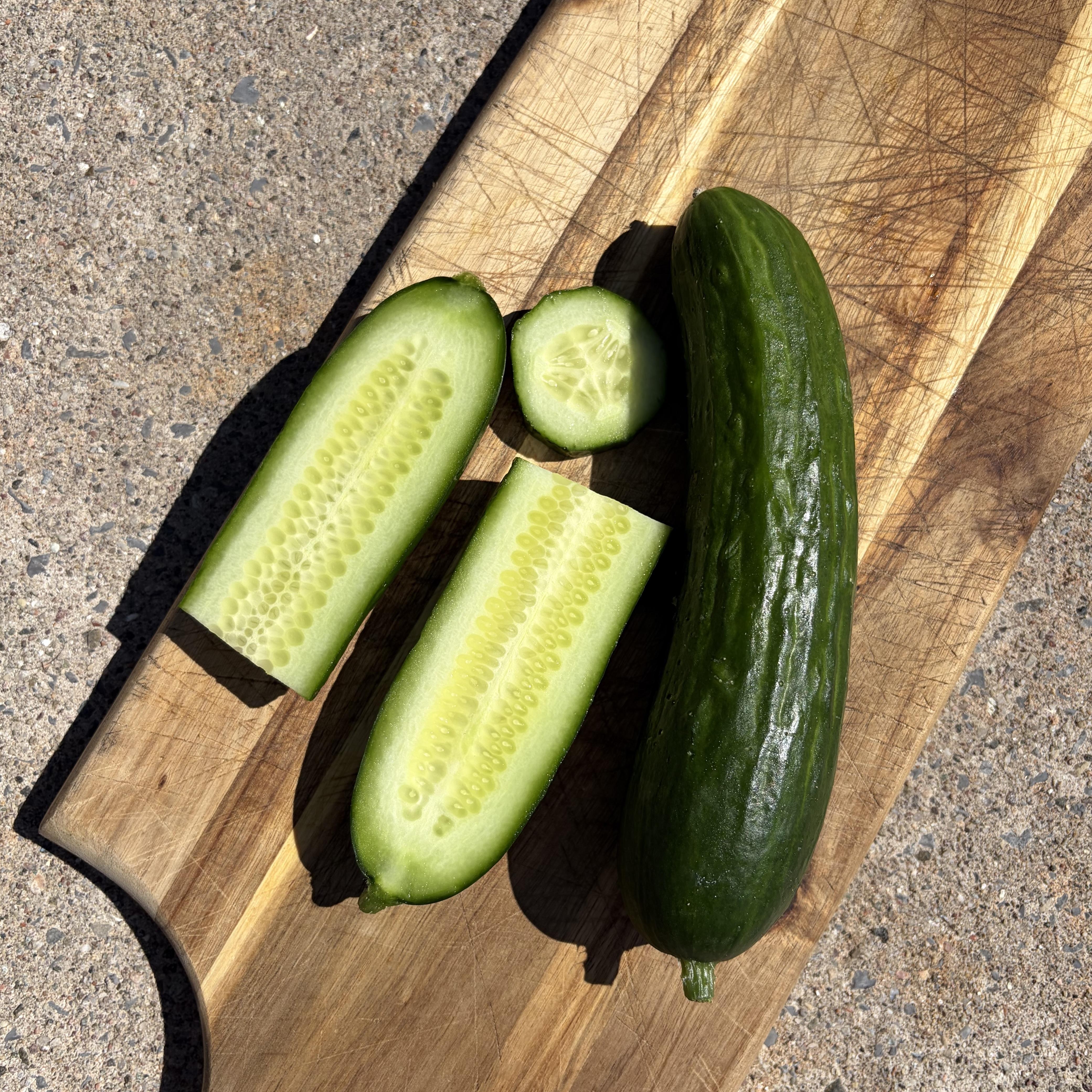 Cucumber - Lebanese