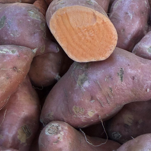 Sweet Potatoes from Henry’s Family Farm — Huntsville Food Hub