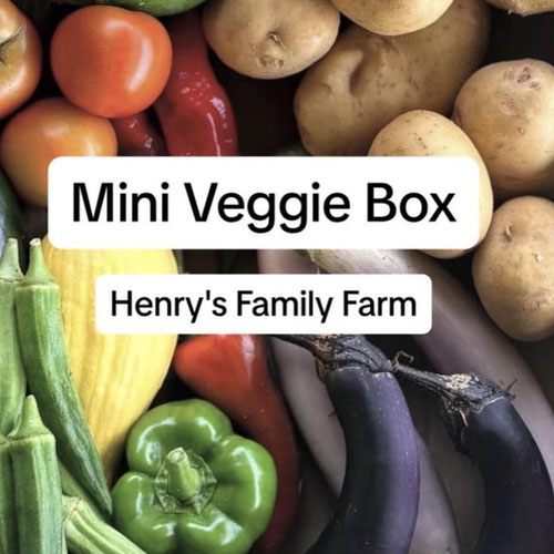 Mini veggie box from Henry’s Family Farm — Huntsville Food Hub